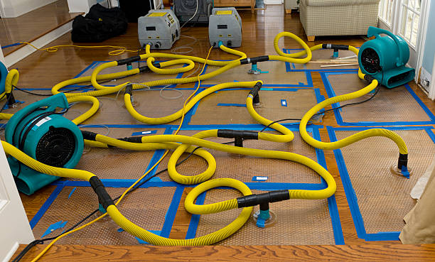 Professional Basement Flood Cleanup technician working in Fernley, NV